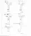 Fig. 04 - HIGH-PURITY STEVIOL GLYCOSIDES