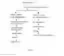 Fig. 08 - HIGH-PURITY STEVIOL GLYCOSIDES