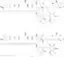 Fig. 136 - Polyene macrolide derivative