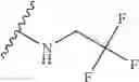 Fig. 173 - Polyene macrolide derivative