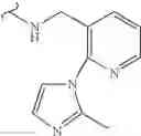 Fig. 335 - Polyene macrolide derivative