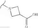 Fig. 427 - Polyene macrolide derivative