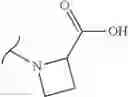 Fig. 433 - Polyene macrolide derivative