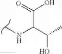 Fig. 441 - Polyene macrolide derivative
