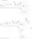 Fig. 46 - Polyene macrolide derivative