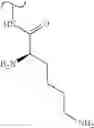 Fig. 514 - Polyene macrolide derivative