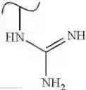 Fig. 532 - Polyene macrolide derivative