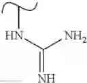 Fig. 540 - Polyene macrolide derivative
