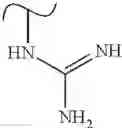 Fig. 554 - Polyene macrolide derivative