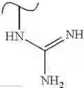 Fig. 574 - Polyene macrolide derivative