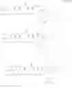 Fig. 59 - Polyene macrolide derivative