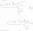 Fig. 72 - Polyene macrolide derivative