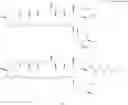 Fig. 80 - Polyene macrolide derivative