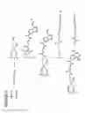 Fig. 05 - MASSIVE PARALLEL METHOD FOR DECODING DNA AND RNA