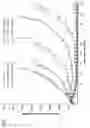 Fig. 02 - Antibody drug conjugates