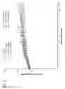 Fig. 03 - Antibody drug conjugates