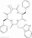 Fig. 07 - Cyclic tetrapeptide stereoisomers