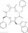 Fig. 08 - Cyclic tetrapeptide stereoisomers