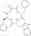 Fig. 12 - Cyclic tetrapeptide stereoisomers