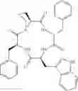 Fig. 16 - Cyclic tetrapeptide stereoisomers