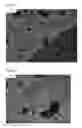 Fig. 07 - Beta sheet tapes ribbons in tissue engineering
