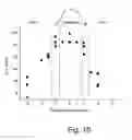 Fig. 11 - Beta sheet tapes ribbons in tissue engineering