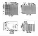 Fig. 10 - Cell penetrating peptides and methods of making and using thereof