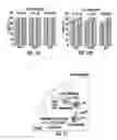 Fig. 11 - Cell penetrating peptides and methods of making and using thereof