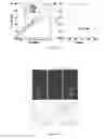 Fig. 19 - Cell penetrating peptides and methods of making and using thereof