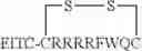 Fig. 41 - Cell penetrating peptides and methods of making and using thereof