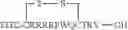 Fig. 45 - Cell penetrating peptides and methods of making and using thereof