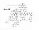 Fig. 24 - DALBAVANCIN COMPOSITIONS FOR TREATMENT OF BACTERIAL