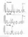 Fig. 33 - DALBAVANCIN COMPOSITIONS FOR TREATMENT OF BACTERIAL