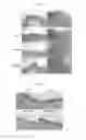 Fig. 05 - RECOMBINANT POLYPEPTIDE FOR PROMOTING SCARLESS WOUND HEALING AND BIOADHESIVE MATERIAL INCLUDING THE SAME