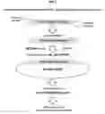 Fig. 02 - SV82 polypeptide, and cosmetic composition for reducing skin wrinkles and maintaining skin elasticity comprising SV82 polypeptide as active ingredient