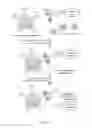 Fig. 13 - Genetically encoded photocleavable proteins