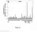 Fig. 10 - Mutant NGAL proteins and uses thereof