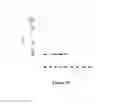 Fig. 17 - Mutant NGAL proteins and uses thereof