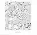 Fig. 18 - Mutant NGAL proteins and uses thereof