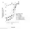 Fig. 19 - Mutant NGAL proteins and uses thereof