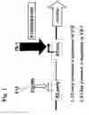 Fig. 02 - E1-MINUS ADENOVIRUSES AND USE THEREOF