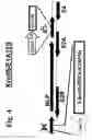 Fig. 05 - E1-MINUS ADENOVIRUSES AND USE THEREOF