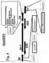 Fig. 10 - E1-MINUS ADENOVIRUSES AND USE THEREOF