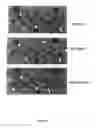 Fig. 03 - IMMUNOMODULATORY COMPOSITIONS AND METHODS FOR TREATING DISEASE WITH MODIFIED HOST DEFENSE PEPTIDES
