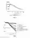 Fig. 04 - Novel Glucagon Analogues