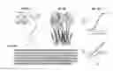 Fig. 09 - Engineered receptor and their use