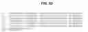 Fig. 12 - BSL2v2c2-Ig polypeptides