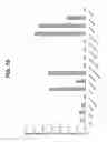 Fig. 34 - BSL2v2c2-Ig polypeptides