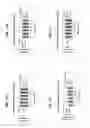 Fig. 48 - BSL2v2c2-Ig polypeptides