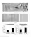 Fig. 03 - Polypeptides derived from calcitonin receptors and methods of use